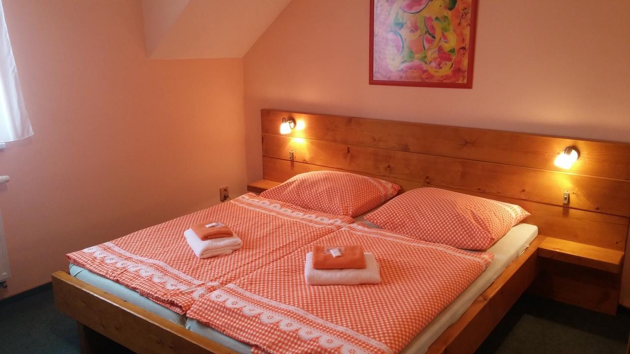 Wellness Penzion Palice ยินดริคูฟราเดตส์ ภายนอก รูปภาพ